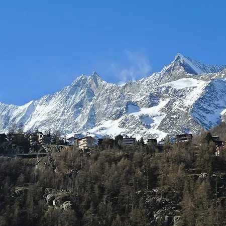 Christitia Domek alpejski *