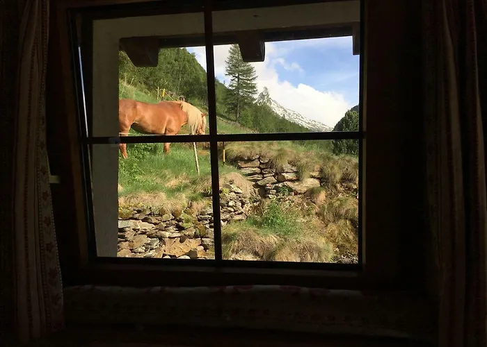 Christitia Saas-Grund