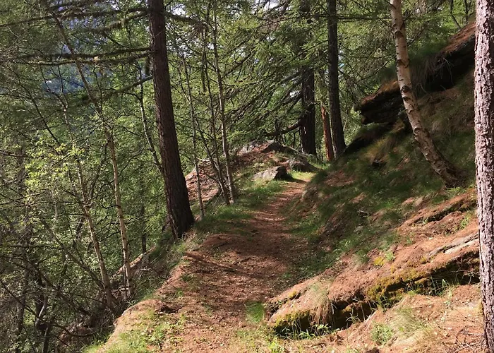 Christitia Dağ evi Saas-Grund