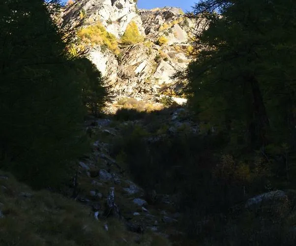 Dağ evi Christitia Saas-Grund