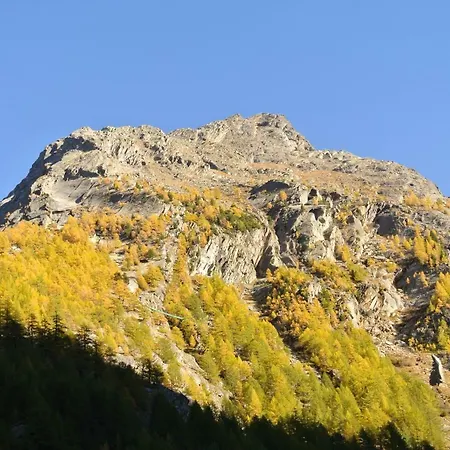 Christitia Σαλέ *