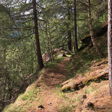 Christitia Σαλέ Saas-Grund